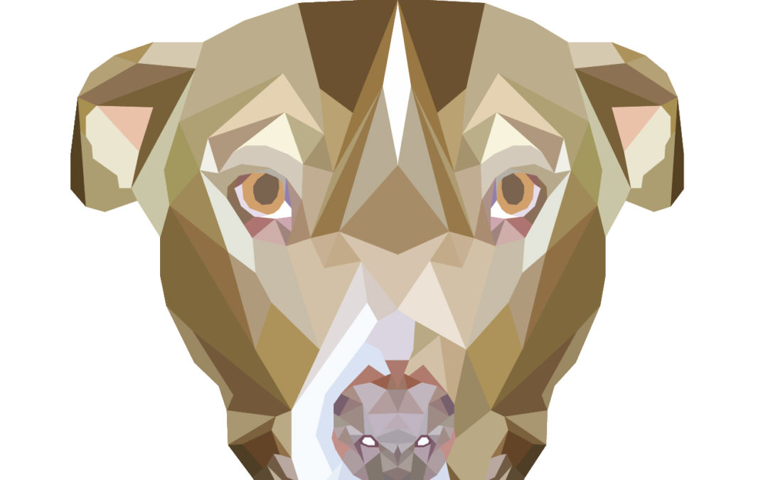 Geometric Dogs
