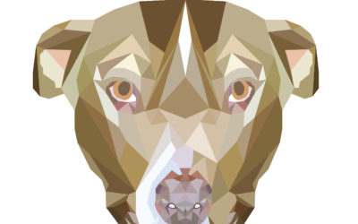 Geometric Dogs