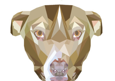 Geometric Dogs